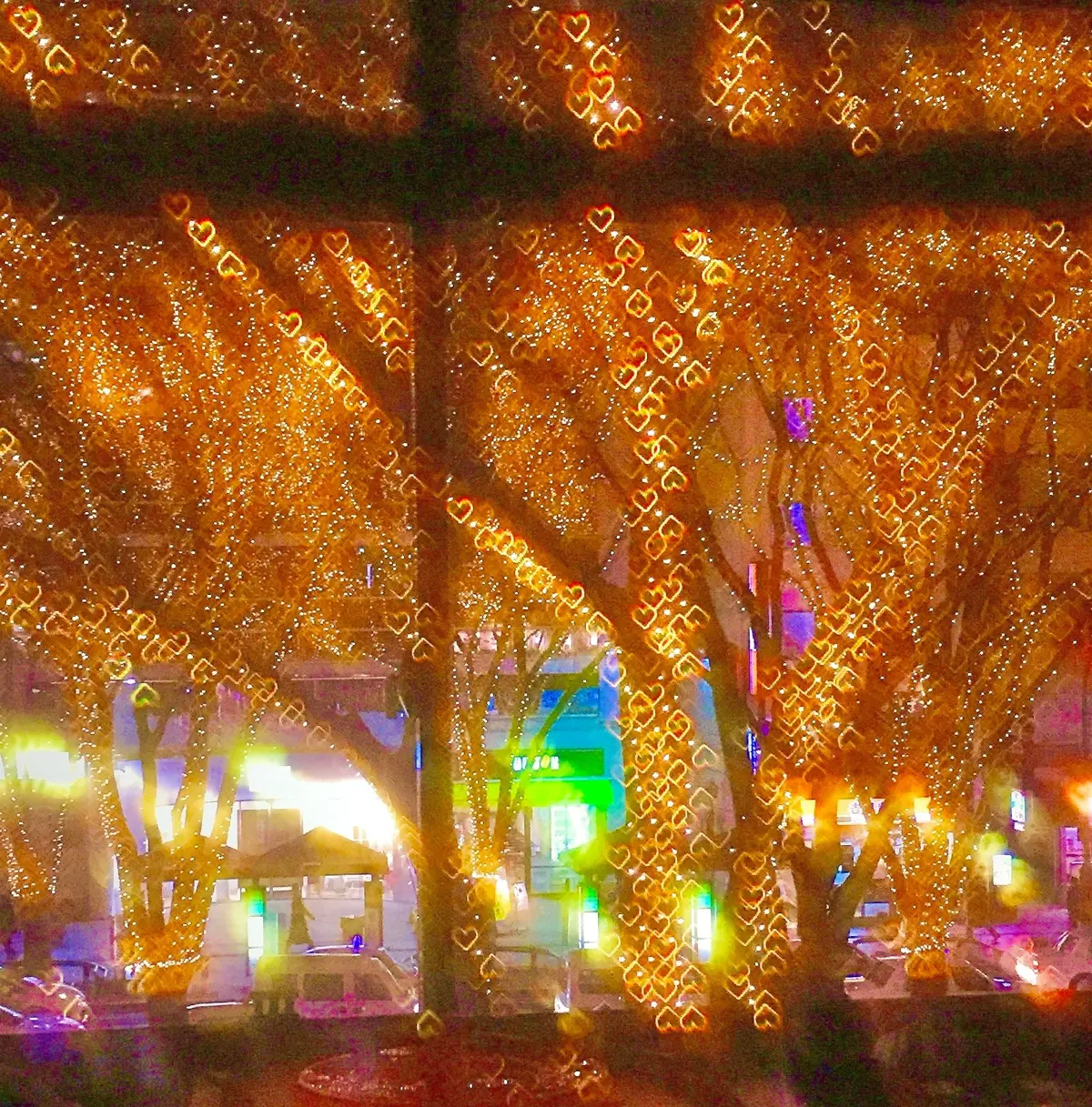 SENDAI光のページェント　定禅寺通