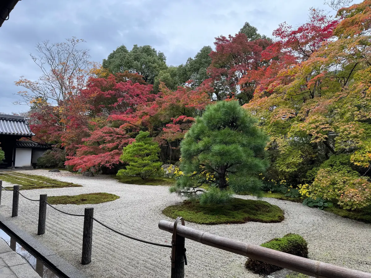 南禅寺天寿庵　紅葉　方丈東庭