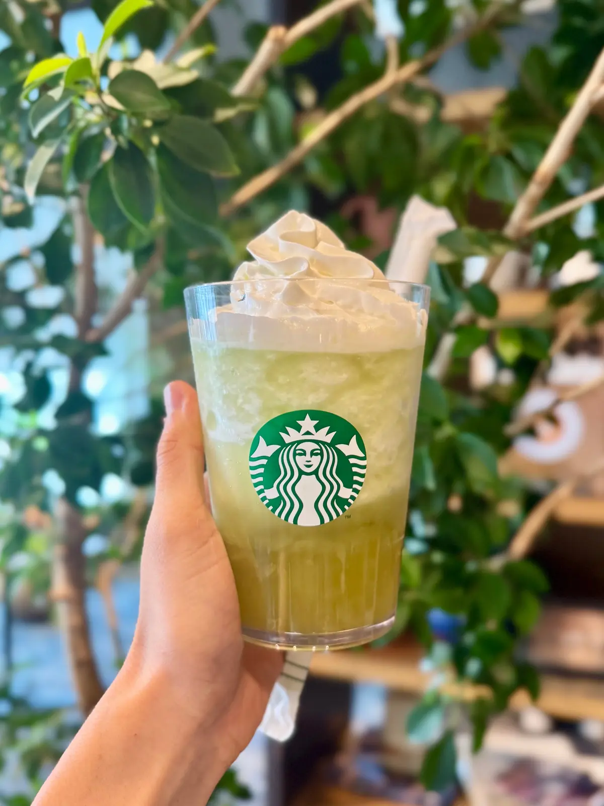 スタバ新作マスカット「グラン マスカット フラペチーノ®」