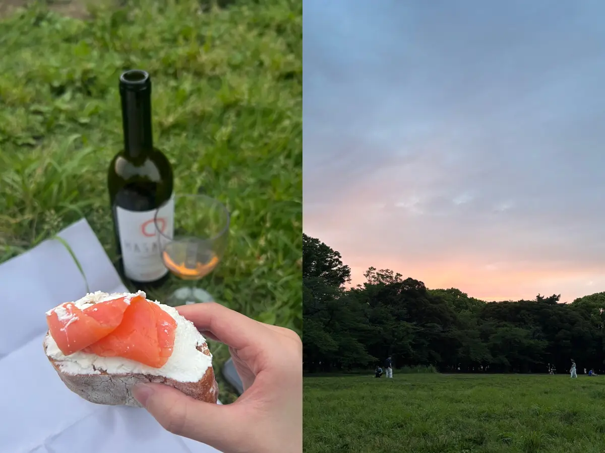 これからの季節にナイトピクニックのすすめの画像_3