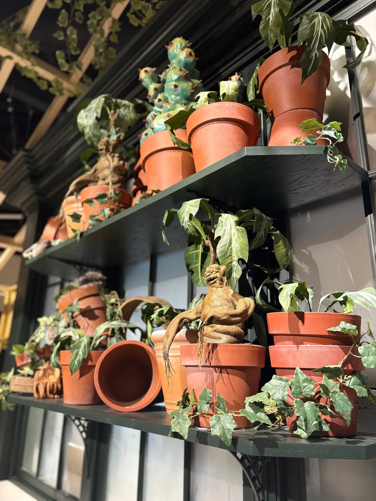 バックロットカフェ内装3