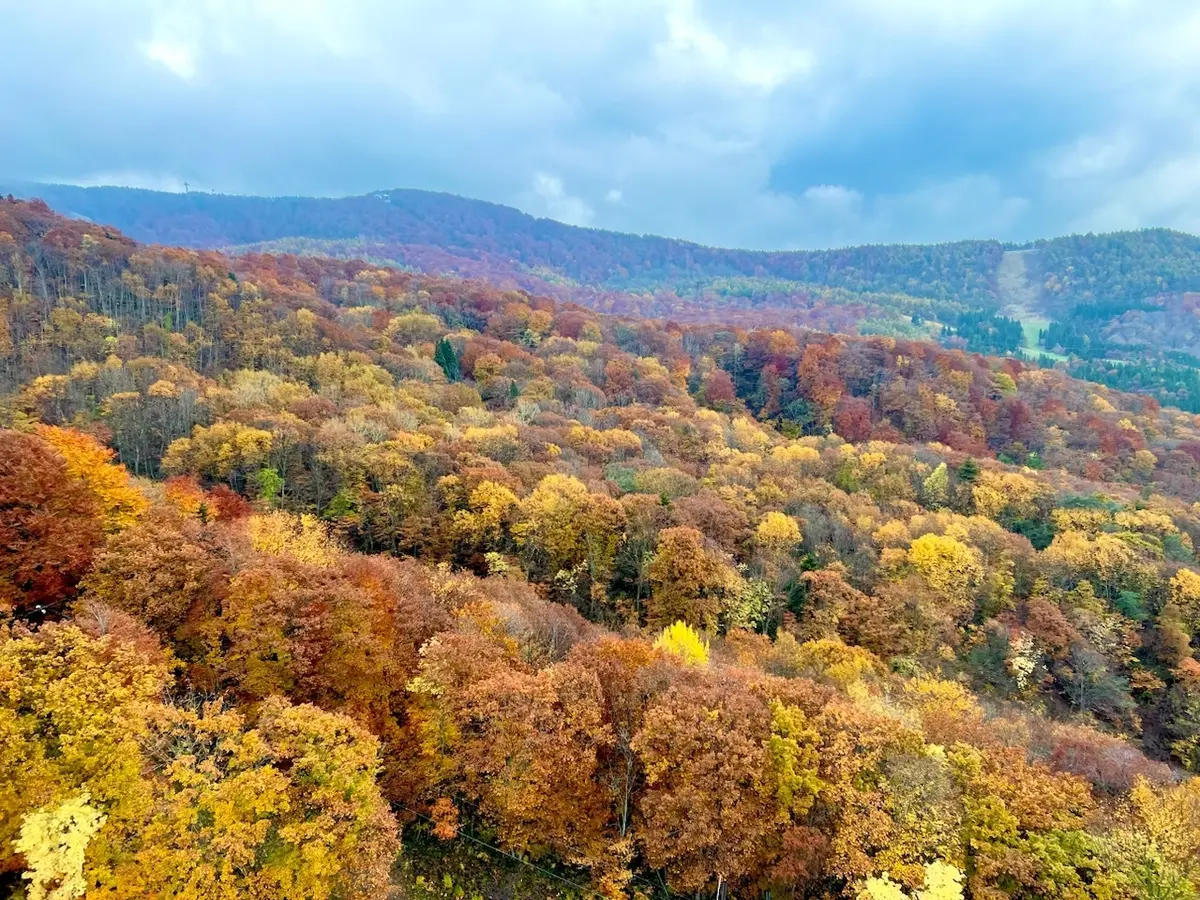 【山形・蔵王温泉】おすすめモデルコース★の画像_7