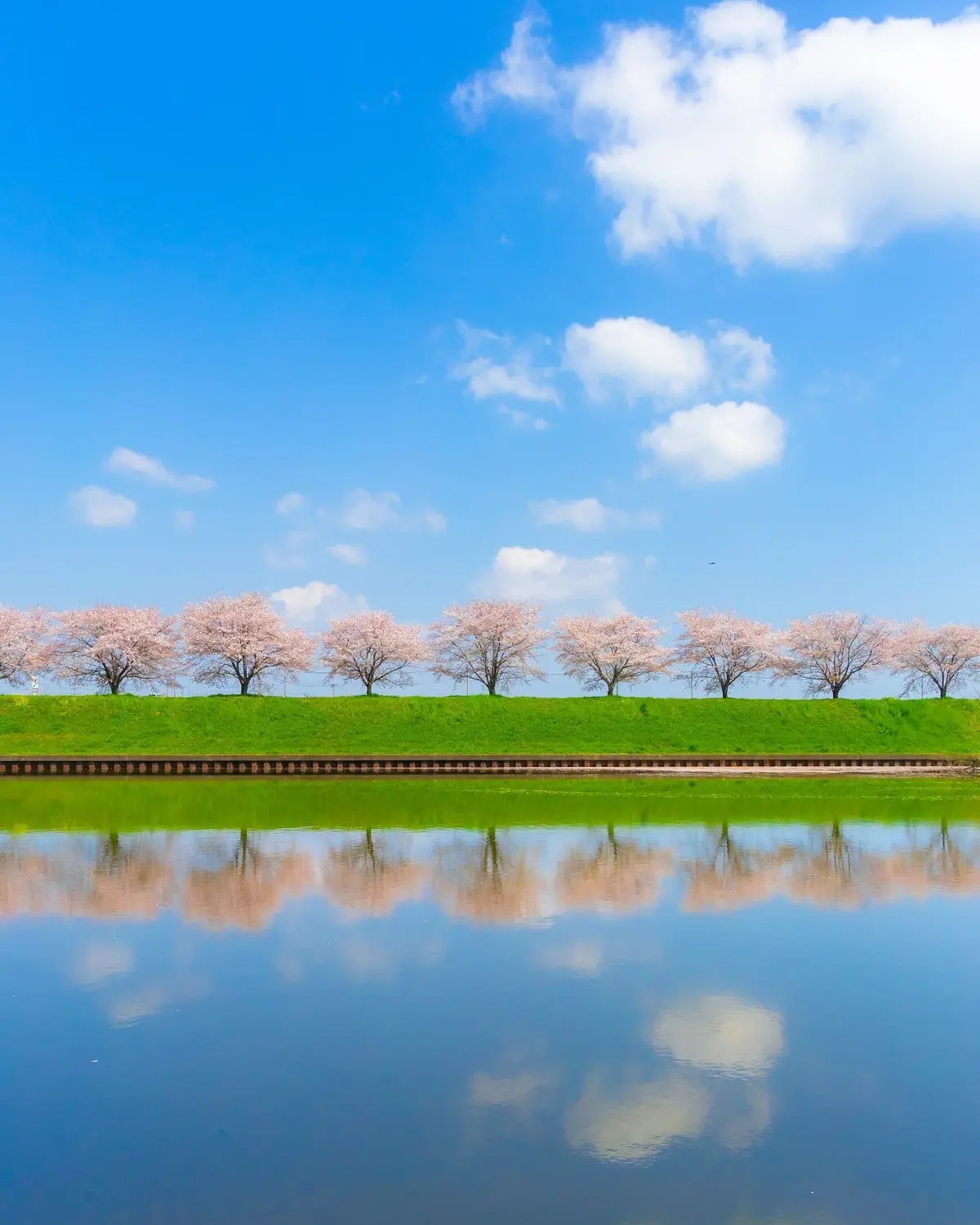 群馬の水郷公園