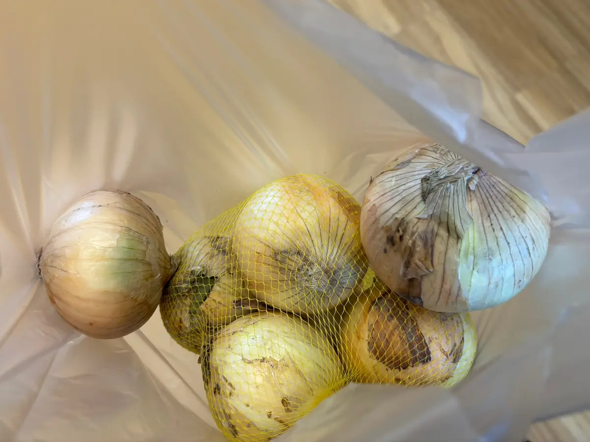 【兵庫・淡路島】たまねぎキャッチャーに挑の画像_4