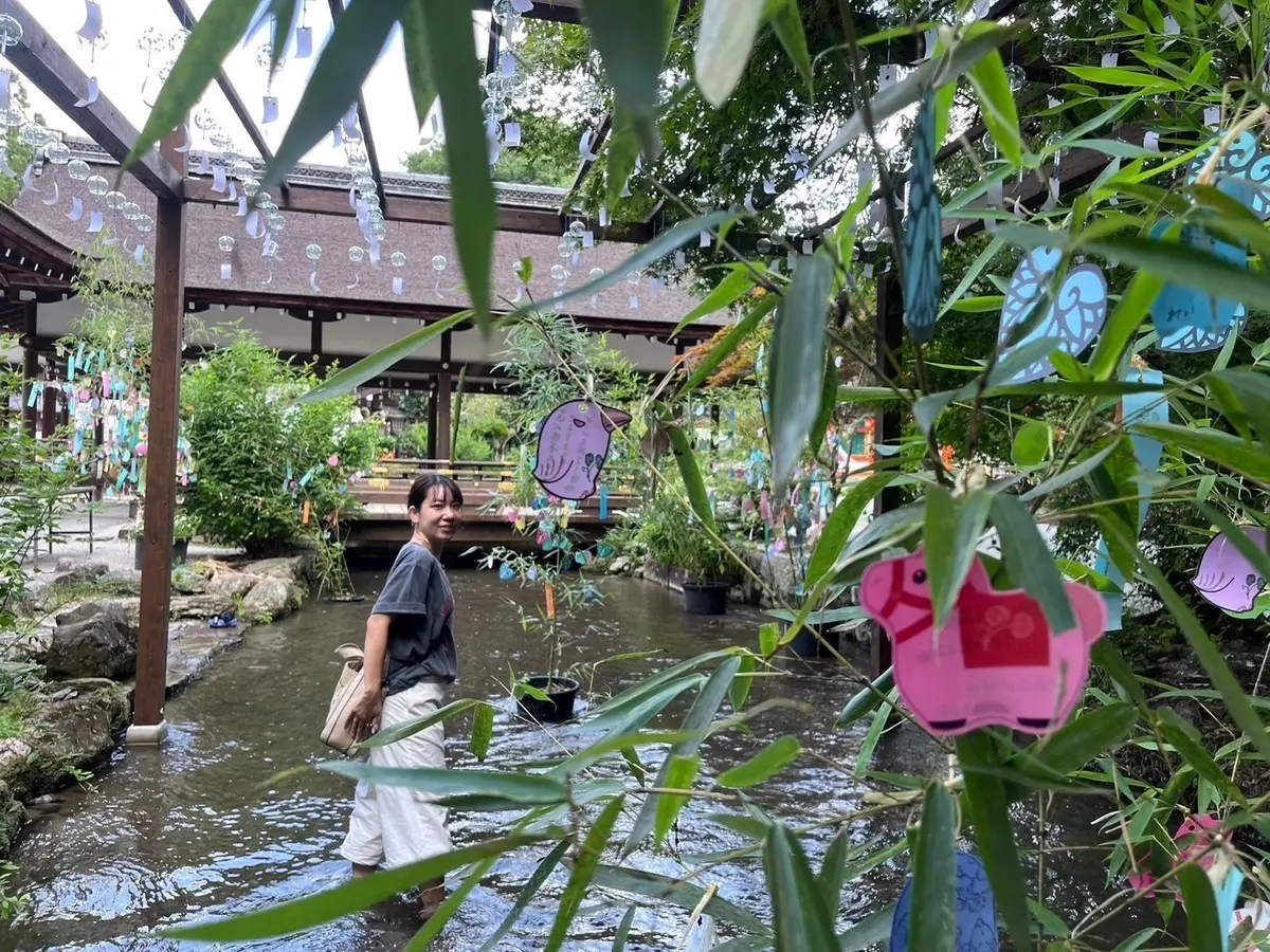 【京都・世界遺産・特別公開】上賀茂神社での画像_9