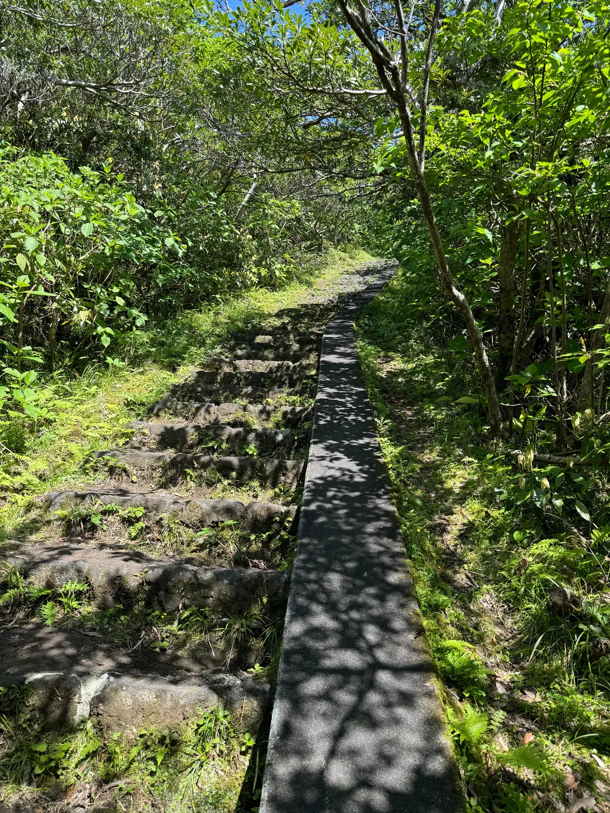 〈東京都・八丈島〉東京にある南国の島🏝️の画像_8