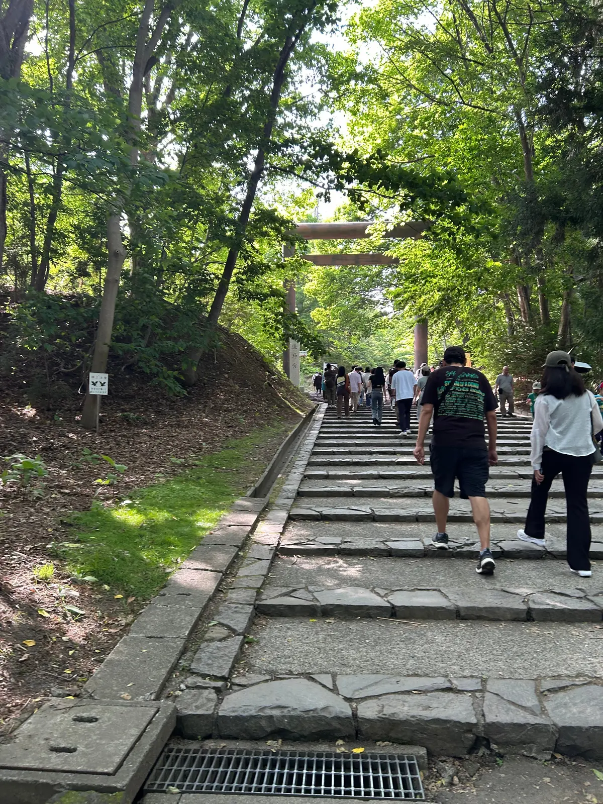 北海道神宮の鳥居