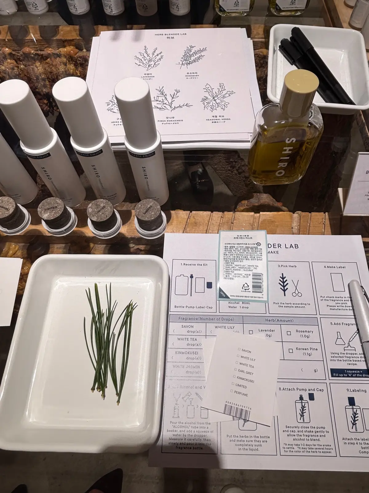 採集したハーブ