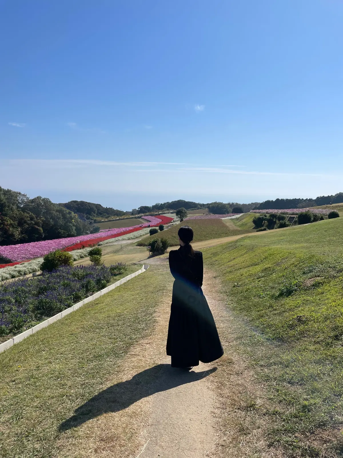 【淡路島】日帰り旅おすすめコース🥰の画像_3