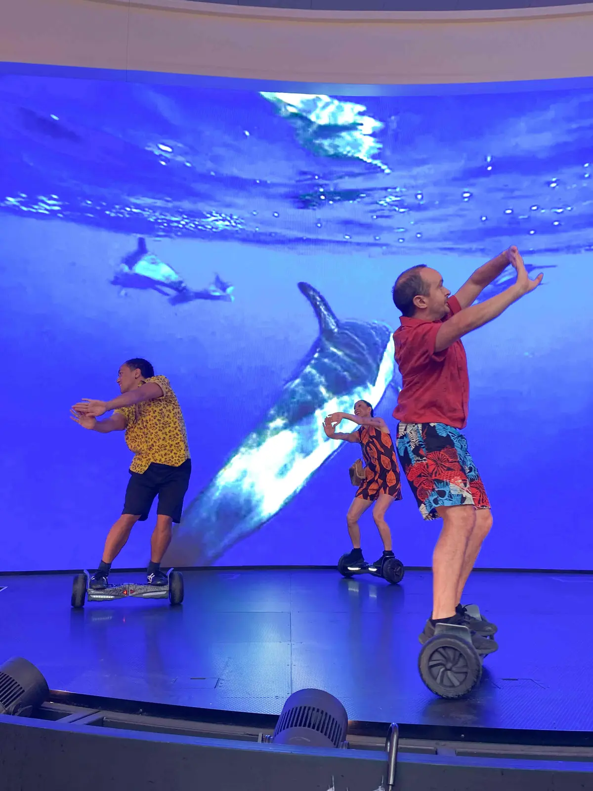 【大阪・関西万博2025】コアラが眠りユの画像_18