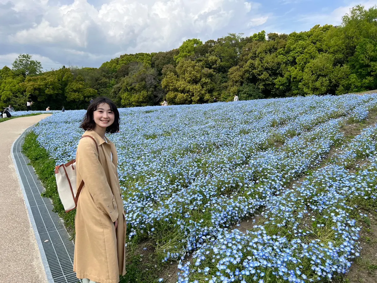 大阪　万博記念公園のネモフィラと1人の女性