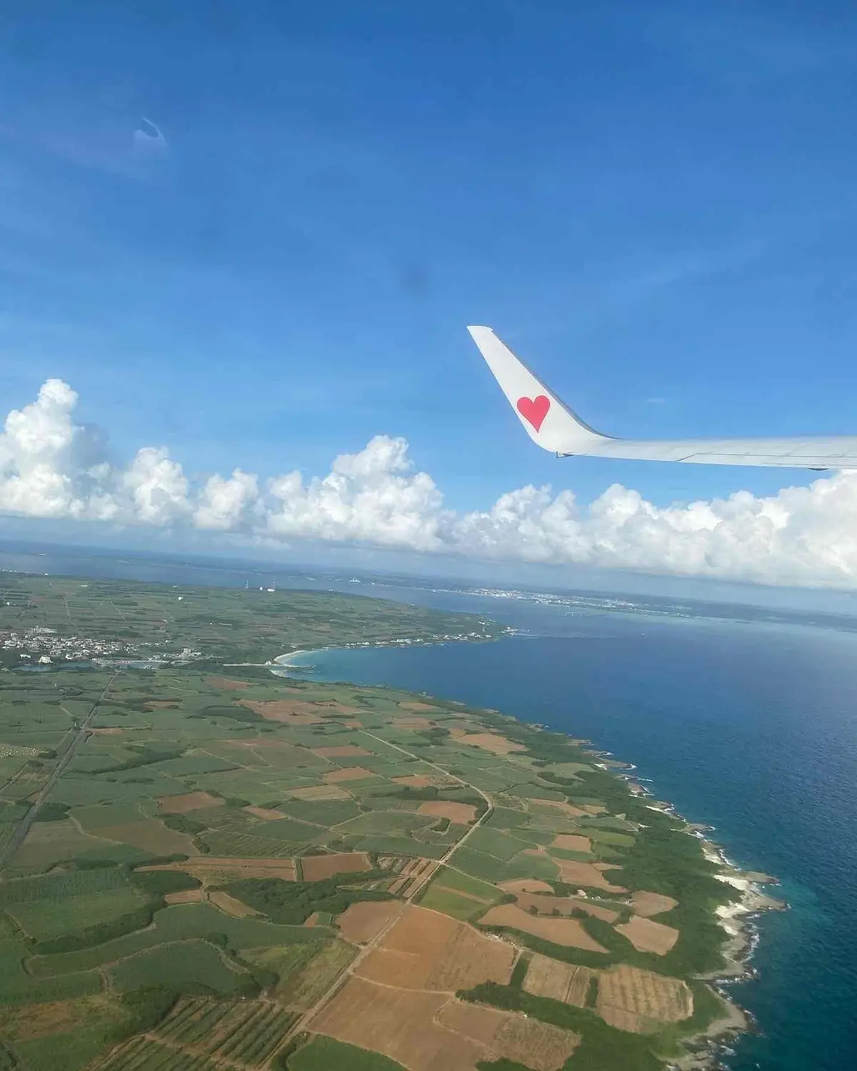 【沖縄・伊良部島】日本一オシャレな空港！の画像_33