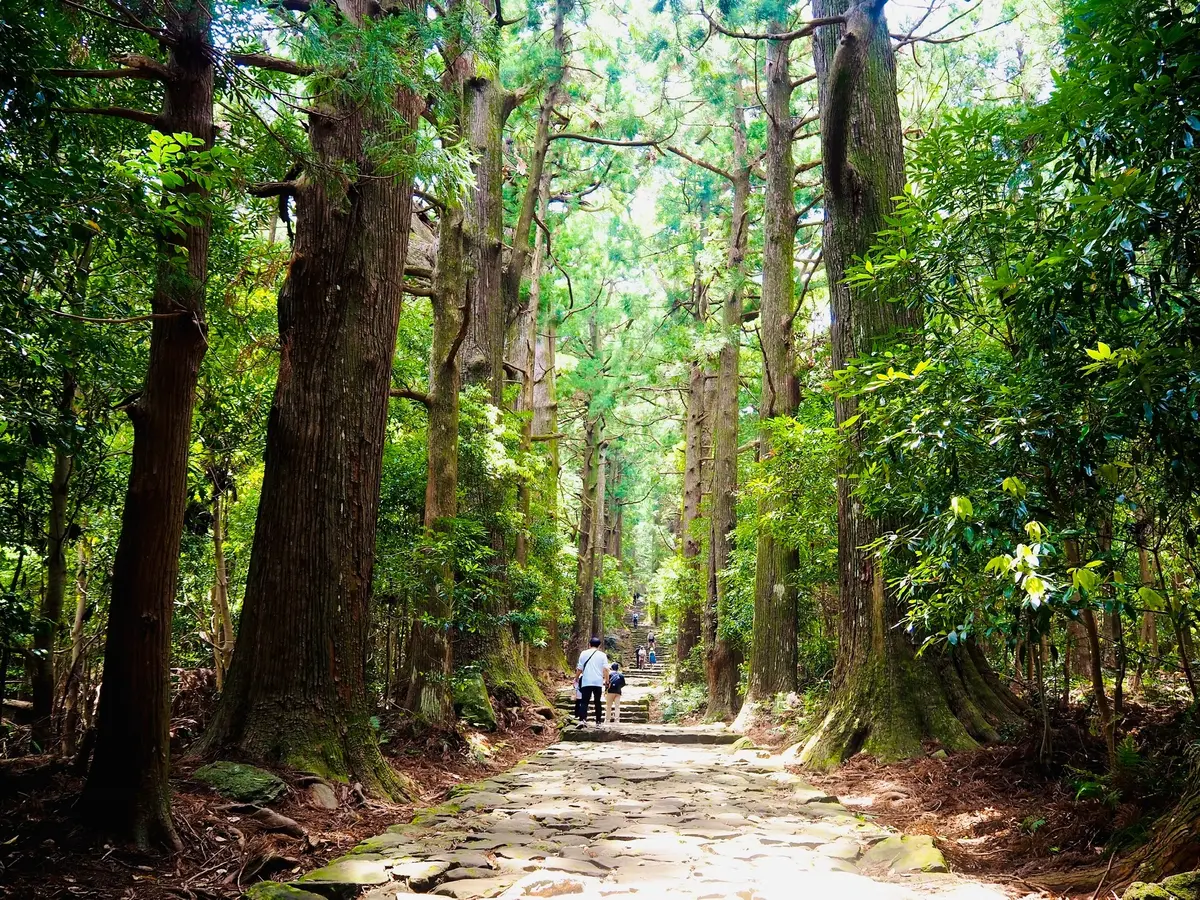 世界遺産のあの“道