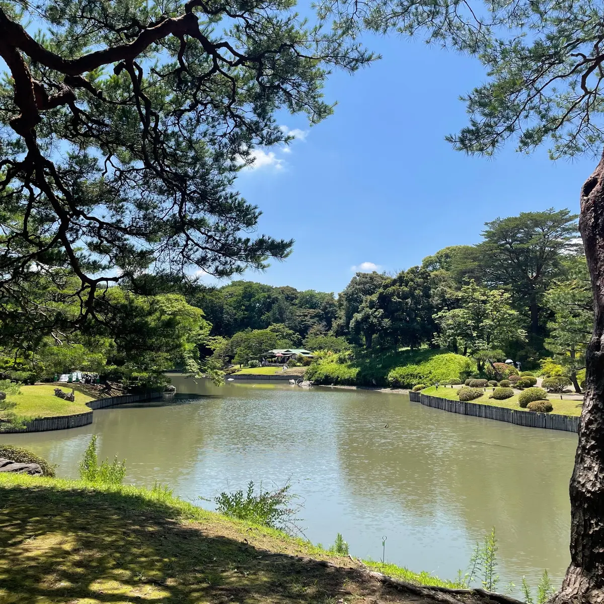 【東京】休日デートにもひとり旅にも！都会の画像_5