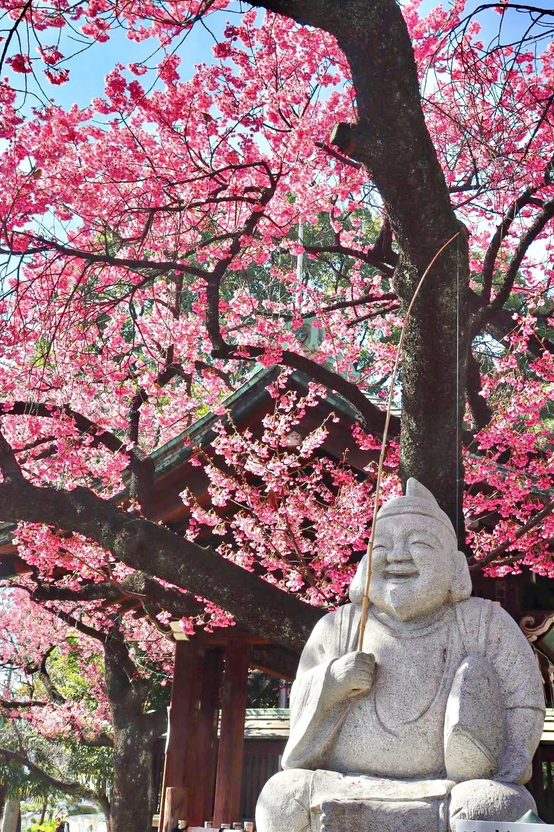 【ご利益あり⁉︎】既に桜が見頃！東京のパの画像_1
