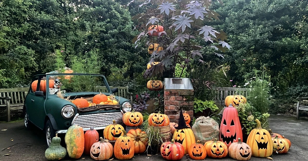 子連れスポット】ハロウィン期間に仮装して行きたい！横浜のおすすめ