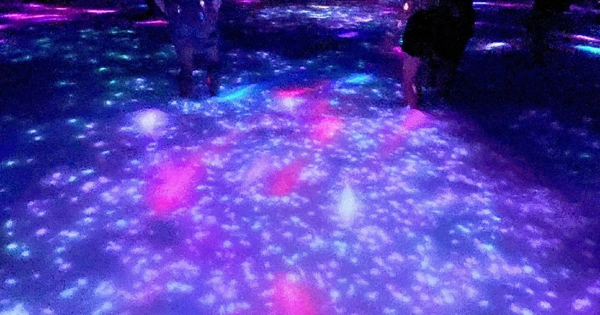 春限定】《桜×チームラボプラネッツ》は今行くべき話題スポット！水の