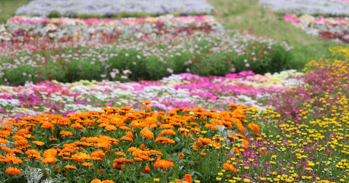 3e1b09cb-a04a-4f8c-8a98-