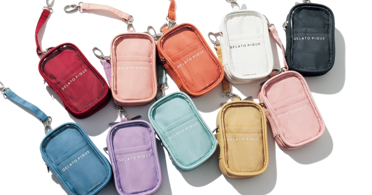 JSBIII PERFECT LIVE 2019-2020 ポーチ スーツケースのわずか3cmのすき間に入るガジェットポーチ「バタフライ