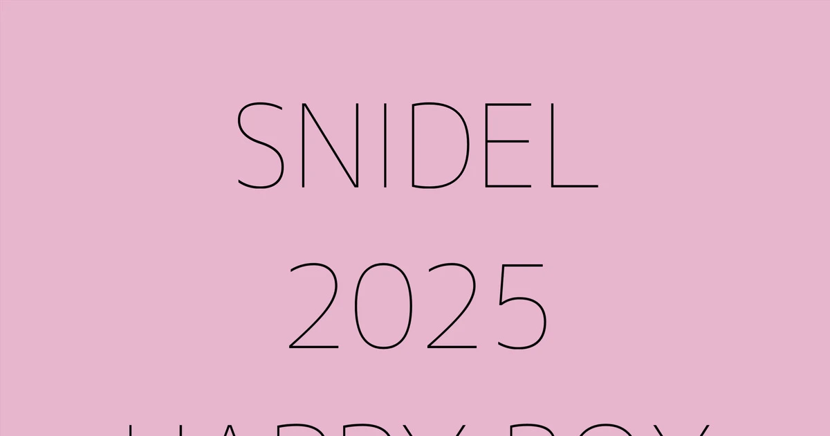 SNIDEL】【福袋】2025年HAPPY BOX 中身大公開！ | MORE