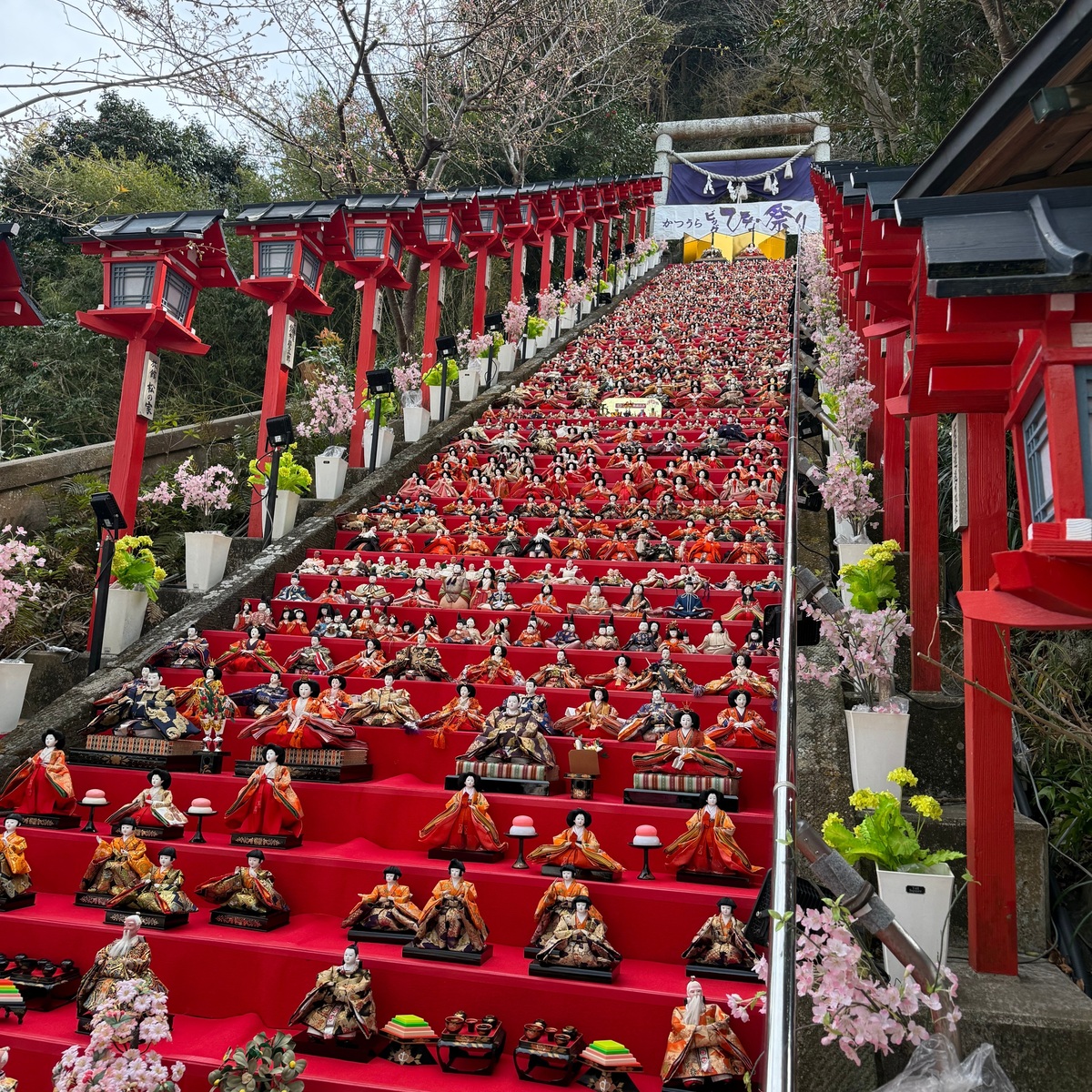 【千葉・勝浦】圧巻！「かつうらビッグひな祭り 2025」を楽しむ日帰りモデルコースをご紹介