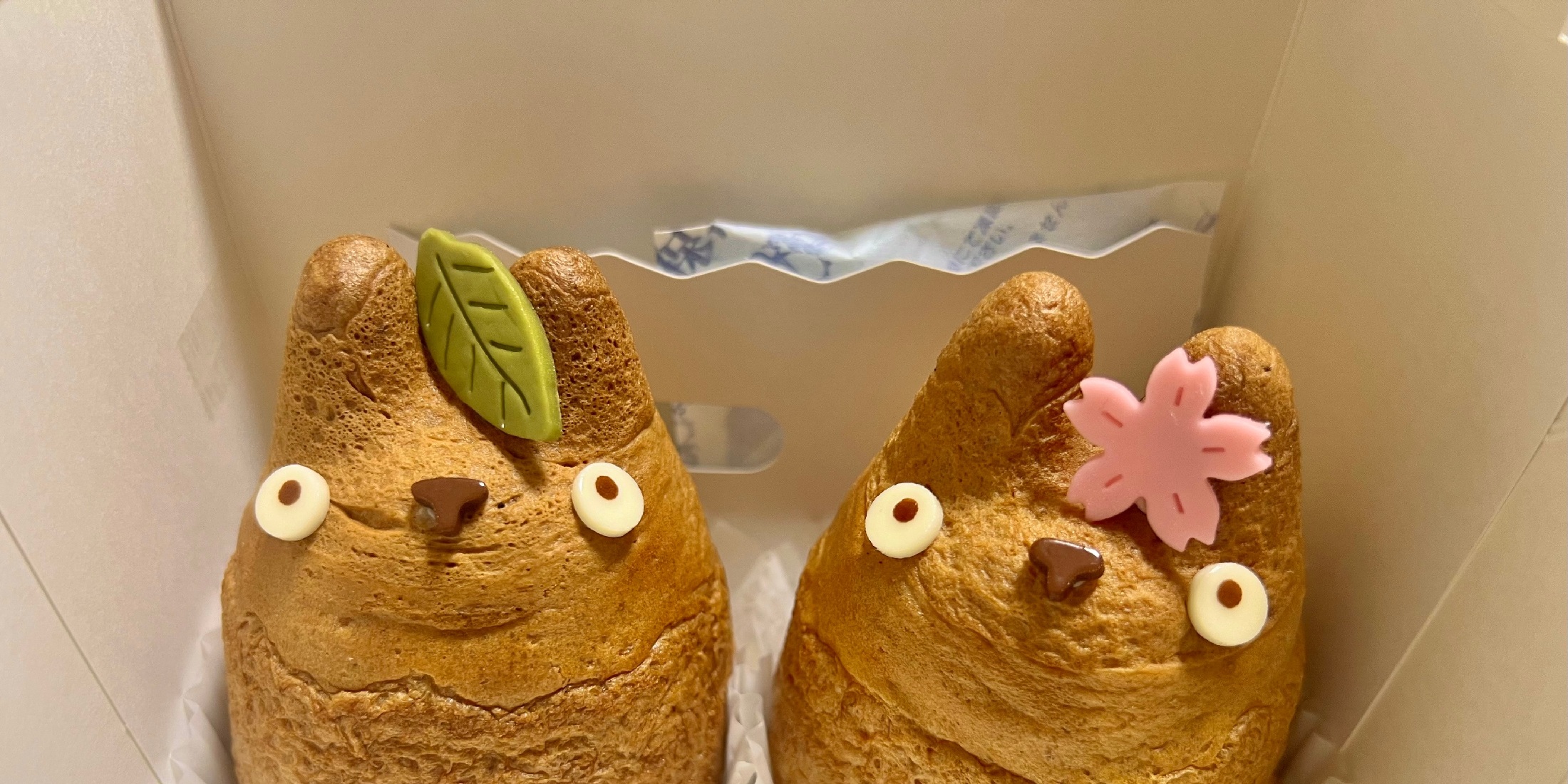 【吉祥寺・東京】世界で販売されてるのはここだけ！行列必至のトトロのシュークリームを食べてみた