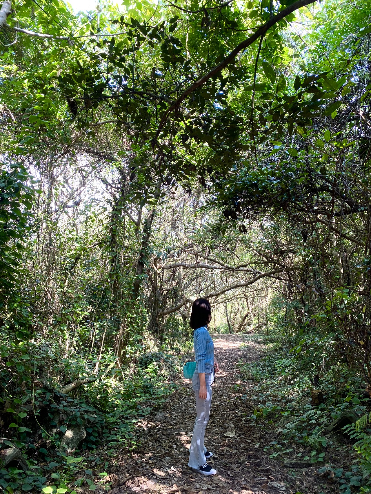 喜界島『荒木中里遊歩道』を歩く女性