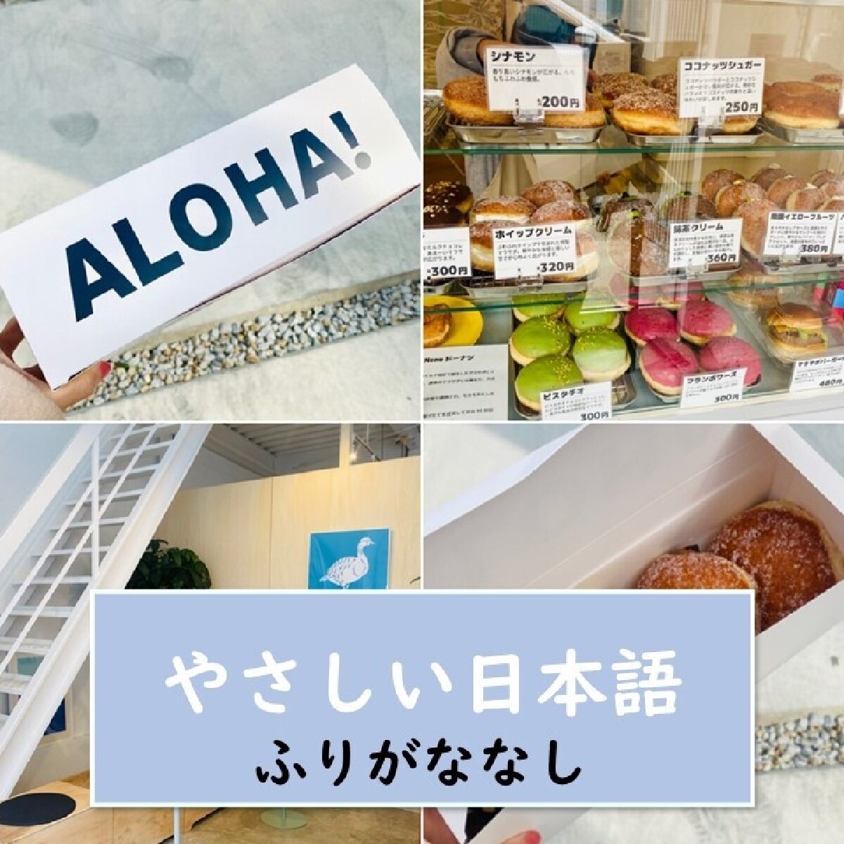 【徳島（とくしま）・パン・やさしい日本語】 かわいい！おいしい！徳島でハワイの有名な食べ物“マラサダ”を食べることができる！『Neneハワイアンドーナツ』がオープン★【ふりがななし】