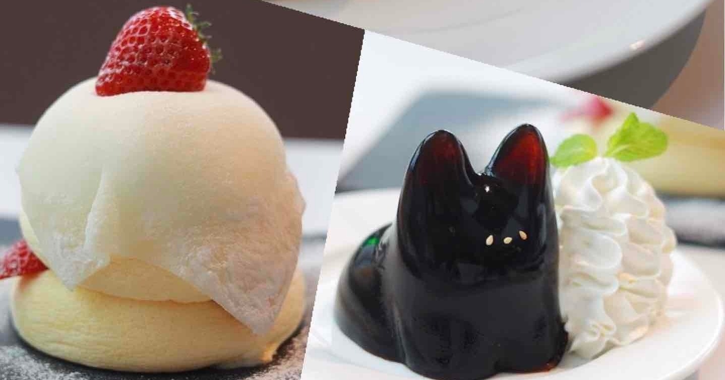 富山県黒部市】動画付き！プルプル揺れる話題の猫型スイーツ&ぷるふわ