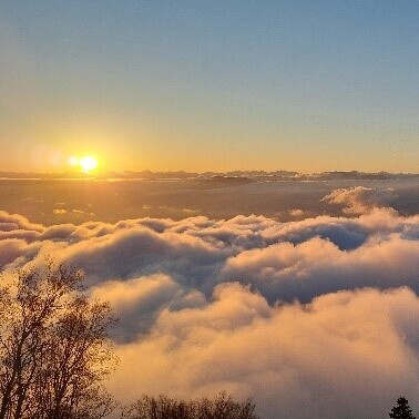 【長野】雲海に出会う「SORA terrace」が、グリーンシーズンの営業を開始！