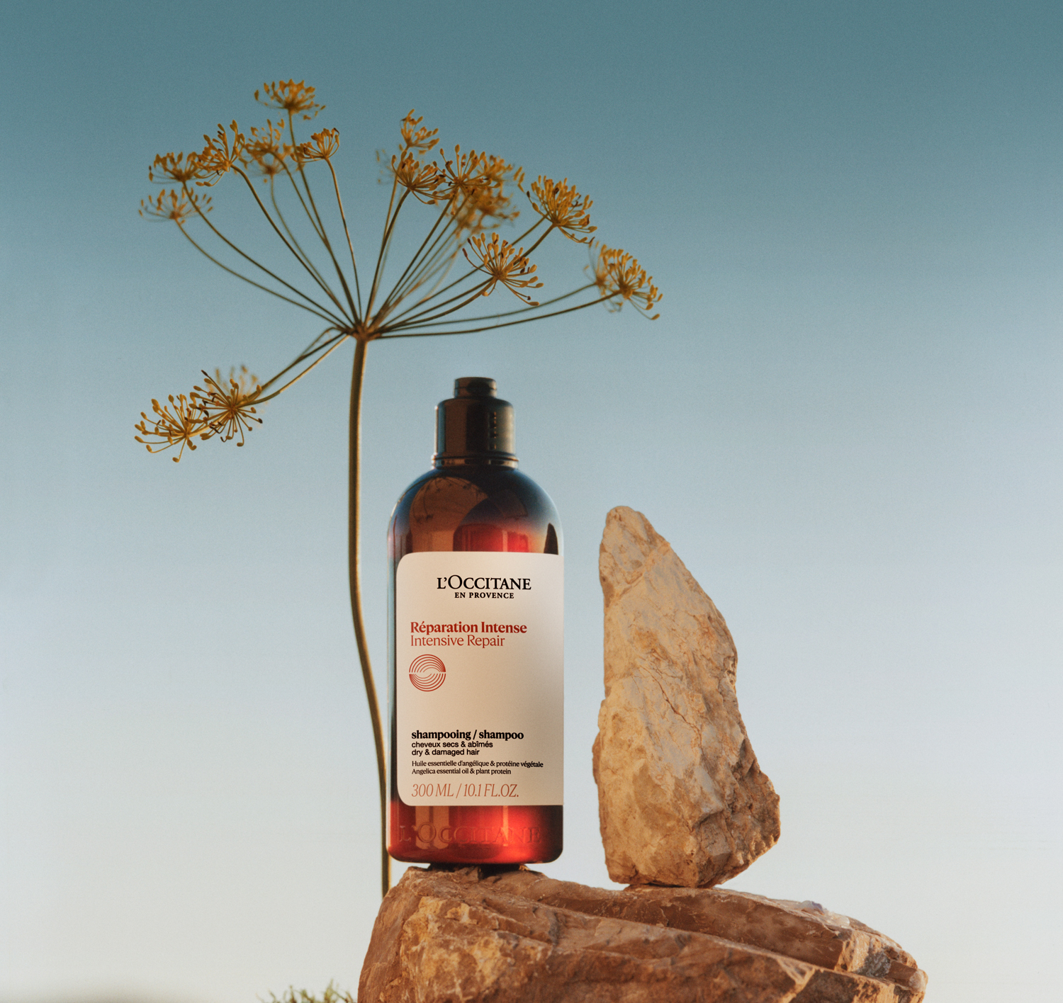 湿気でうねる・広がる髪にダメージケア。「ロクシタン インテンシヴリペア」【梅雨対策ヘアケア2025】