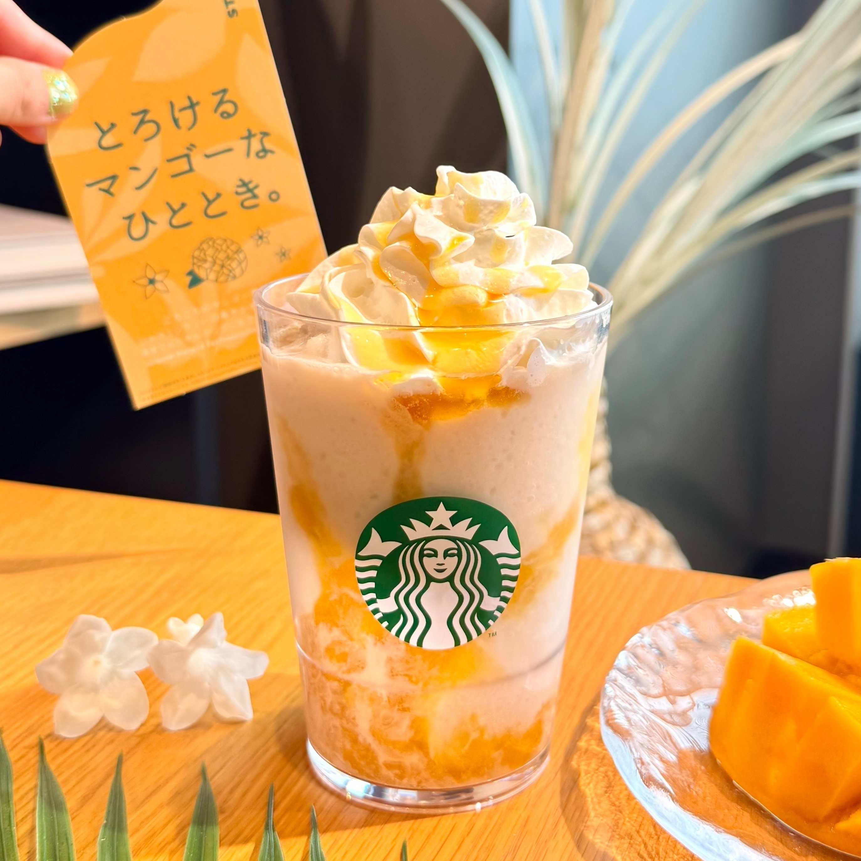 スタバ 新作
