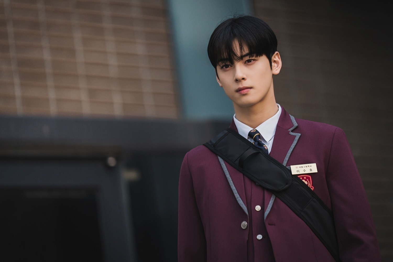 【韓国ドラマ】顔面国宝！チャ・ウヌの魅力満載なドラマ3選