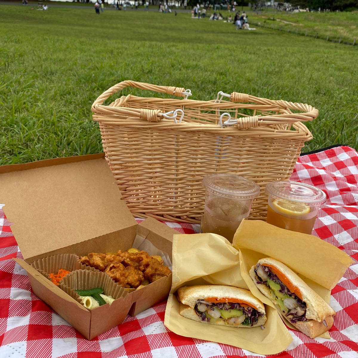 【葛西臨海公園】コスパ◎ 手ぶらピクニックしてみた！