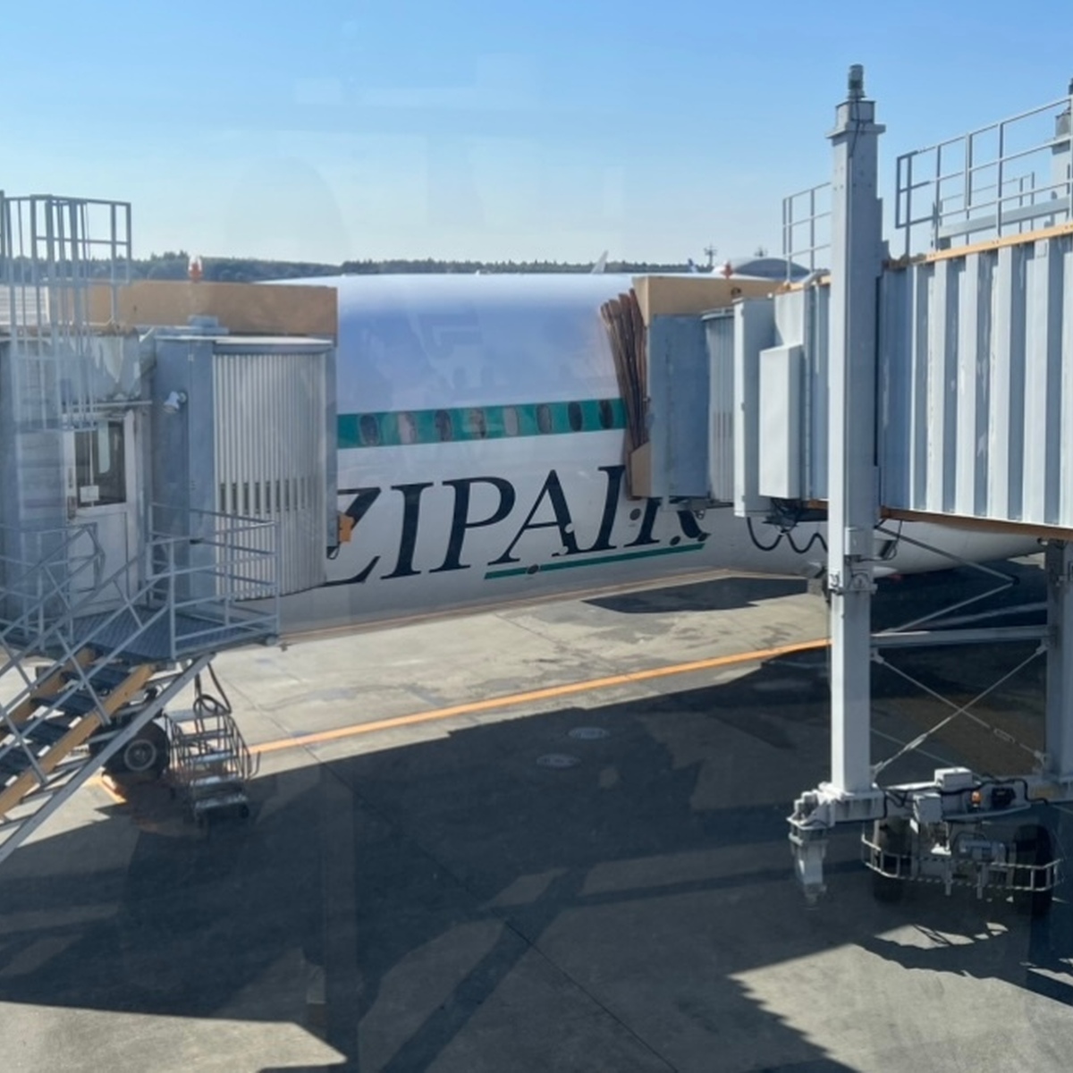 【ZIP AIR搭乗記】ヒューストン→成田✈️LCCでも快適！気になる座席や機内サービスは？