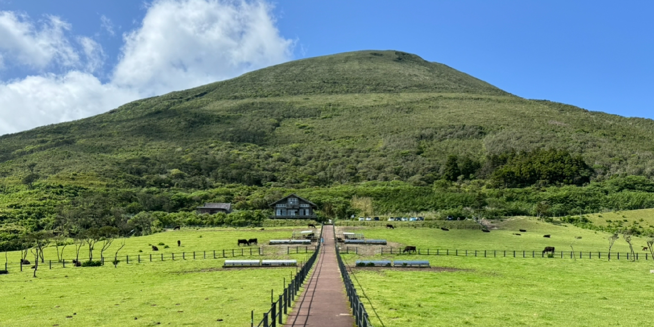 〈東京都・八丈島〉東京にある南国の島 ️おすすめお気に入りスポット5選 島ならではの魅力に 
