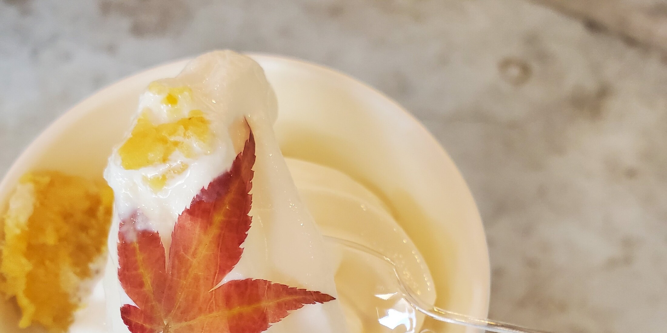 【関西・大阪】箕面産「ゆず」グルメ・スイーツを食べ歩き！