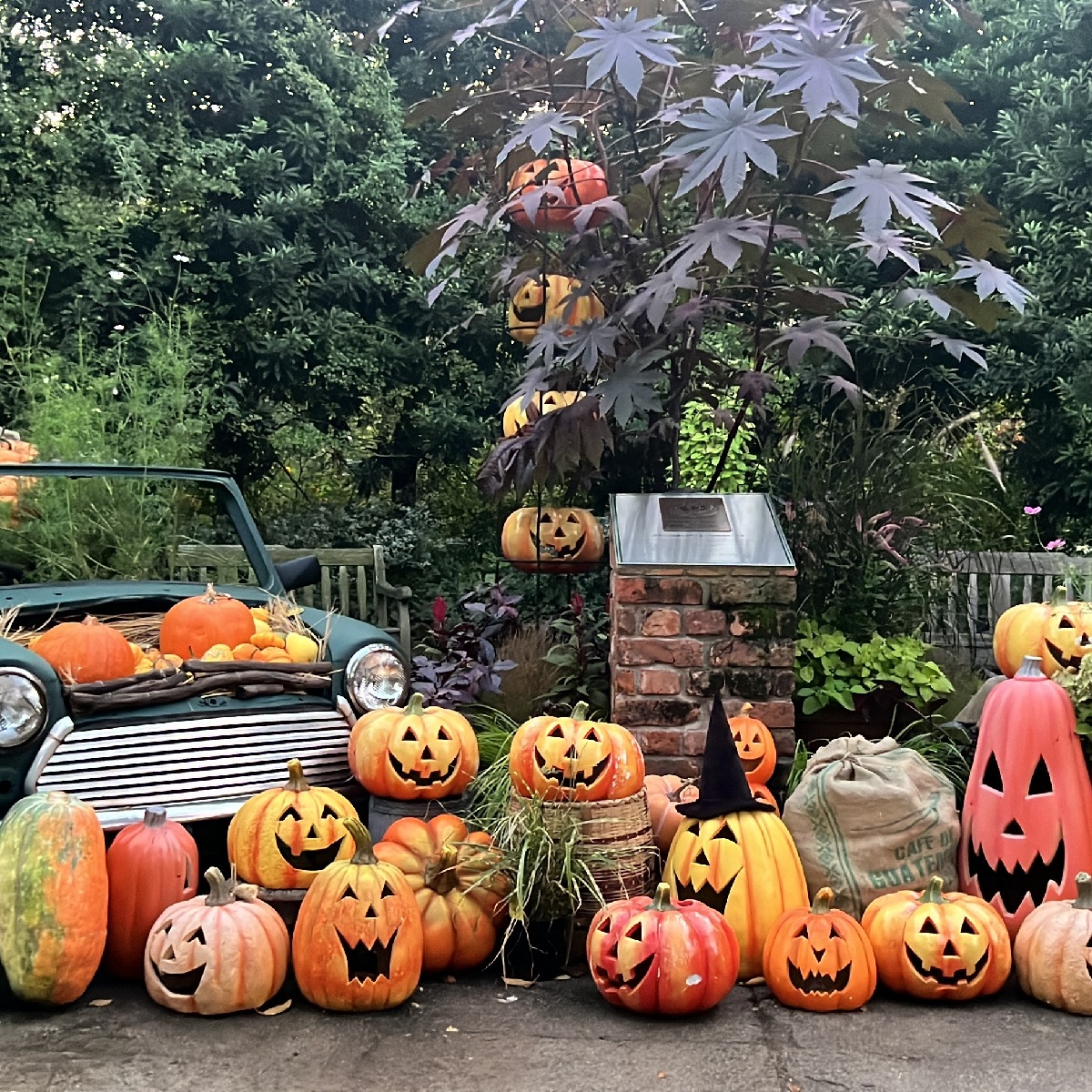 【子連れスポット】ハロウィン期間に仮装して行きたい！横浜のおすすめ穴場写真スポットをご紹介！