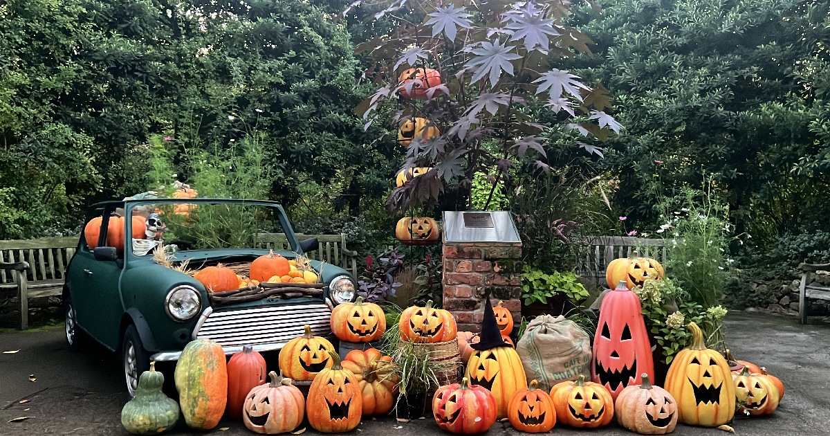 24067c8f-322e-45af-bb1d-