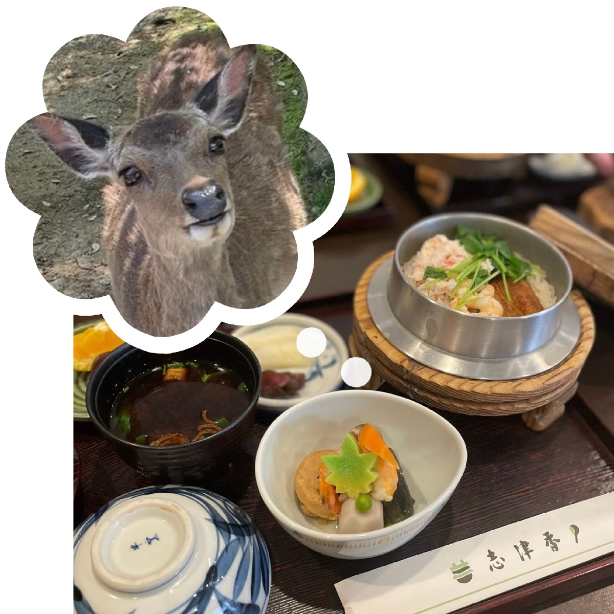 【奈良県】おすすめランチとデザート、可愛すぎる鹿さんたち🦌