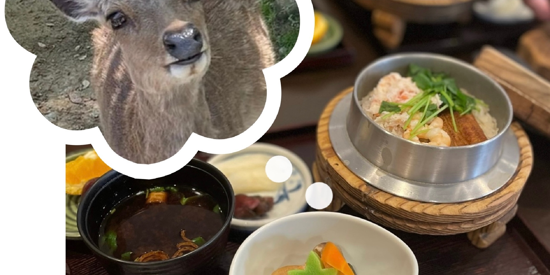 【奈良県】おすすめランチとデザート、可愛すぎる鹿さんたち 