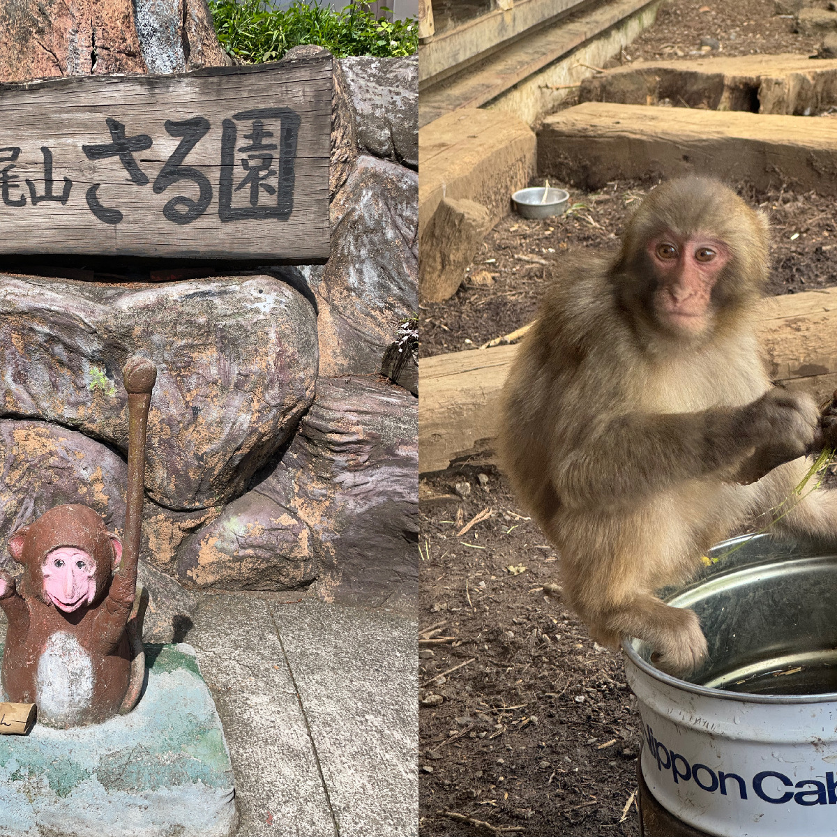 【東京】初めての山登り？！楽しみながら森林浴✨