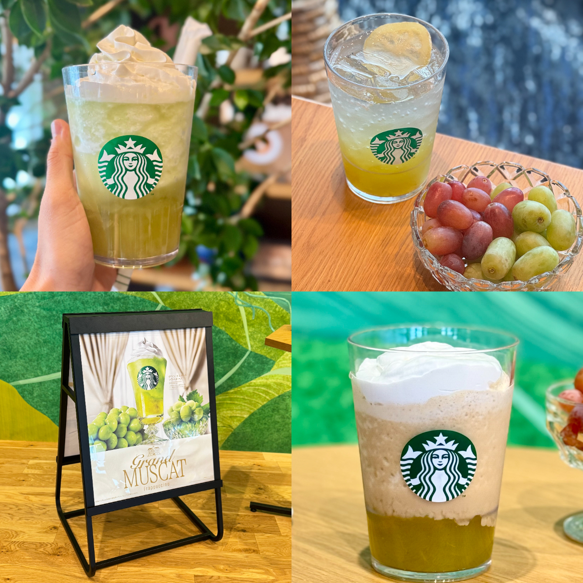 【スタバ 新作】マスカットメニュー3種類を飲み比べ！ 優勝は「グラン マスカット フラペチーノ®」