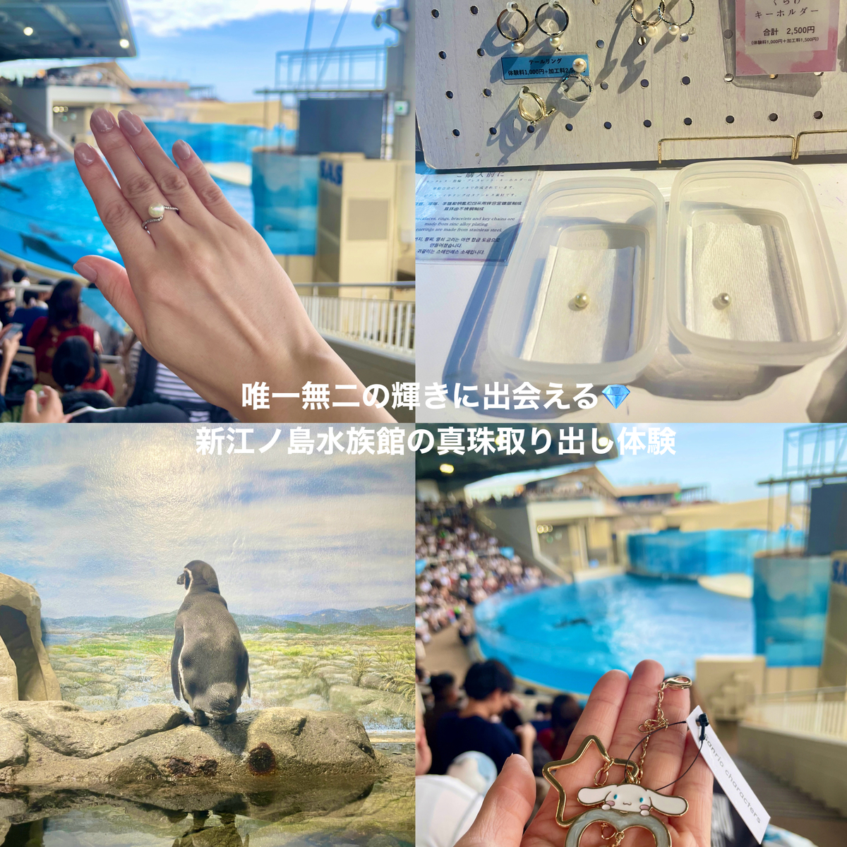 【唯一無二の輝きと出会える】 新江ノ島水族館の真珠取り出し体験