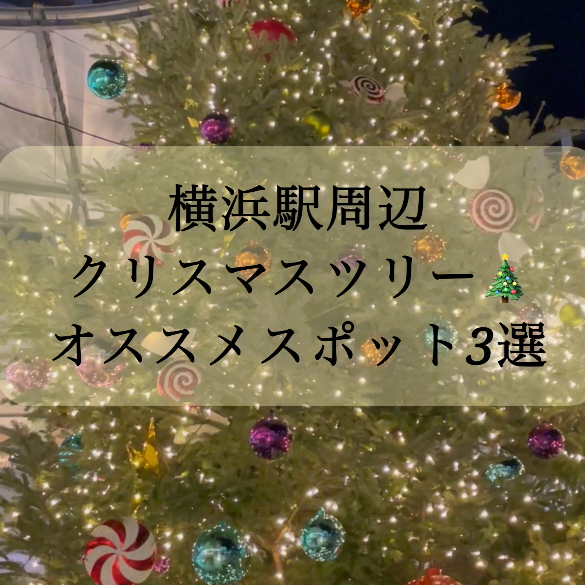 【横浜駅周辺｜クリスマスツリー特集🎄第一弾】保存必須！横浜の街をキラキラと彩るクリスマスツリー✨オススメスポットをご紹介！