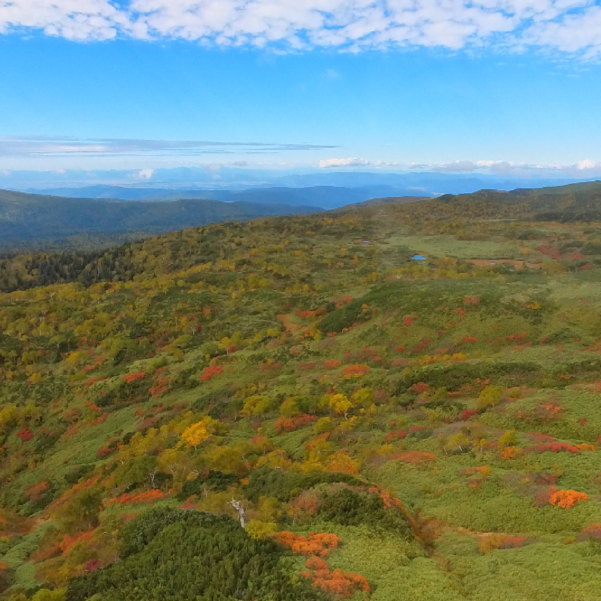 【北海道】日本最速の紅葉シーズン到来！旭岳の絶景を今すぐチェック