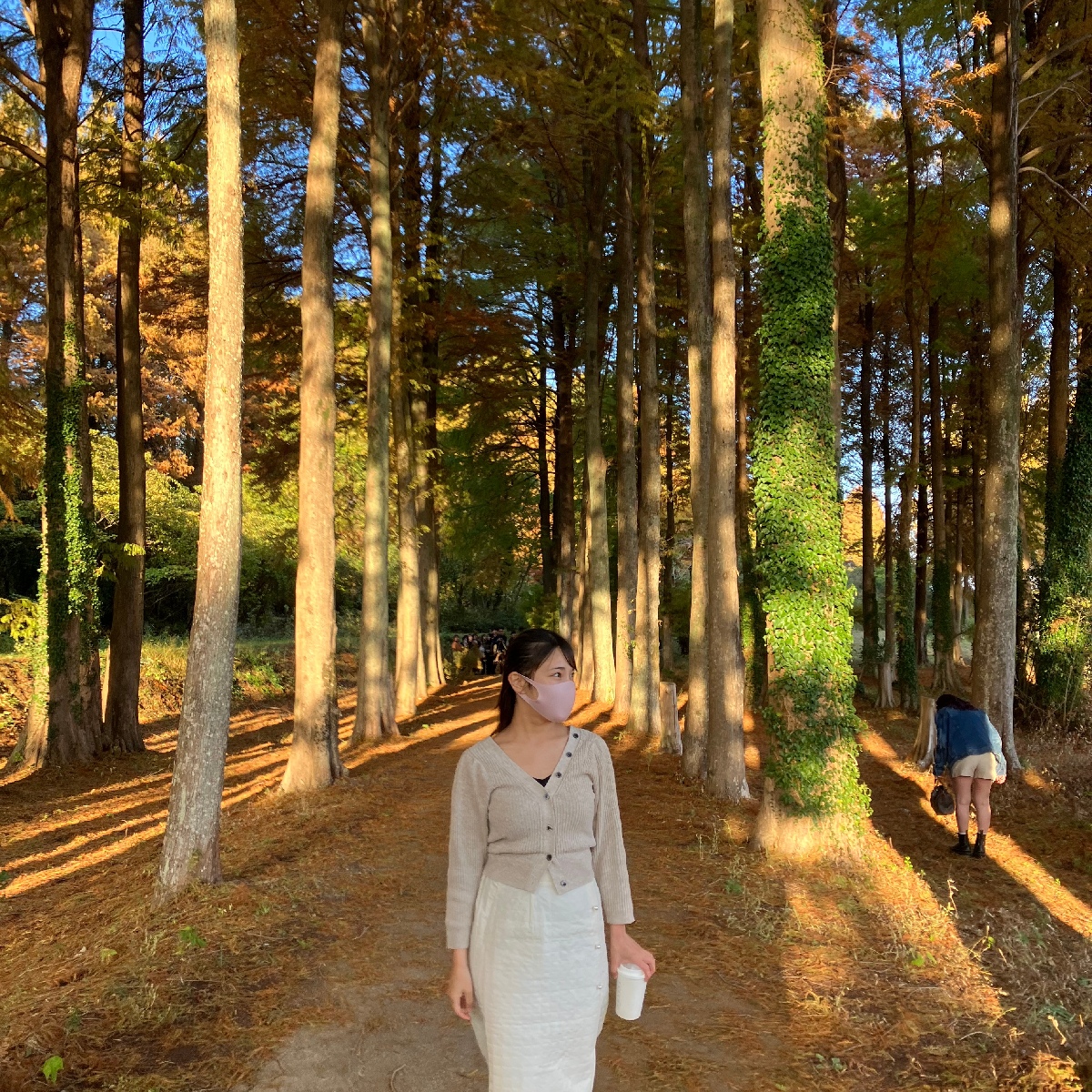 【福岡】秋を満喫🍁紅葉ピクニックデートはいかがですか？