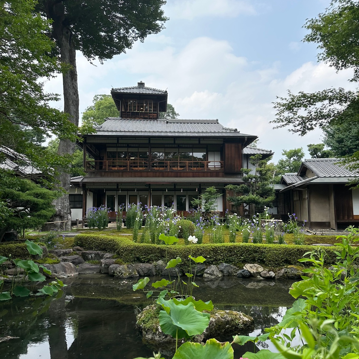 【京都出町柳駅徒歩5分】旧三井家下鴨別邸へ！涼しげな京菓子とお抹茶を味わいながら庭池に蓮が咲く下鴨の夏を満喫❤︎