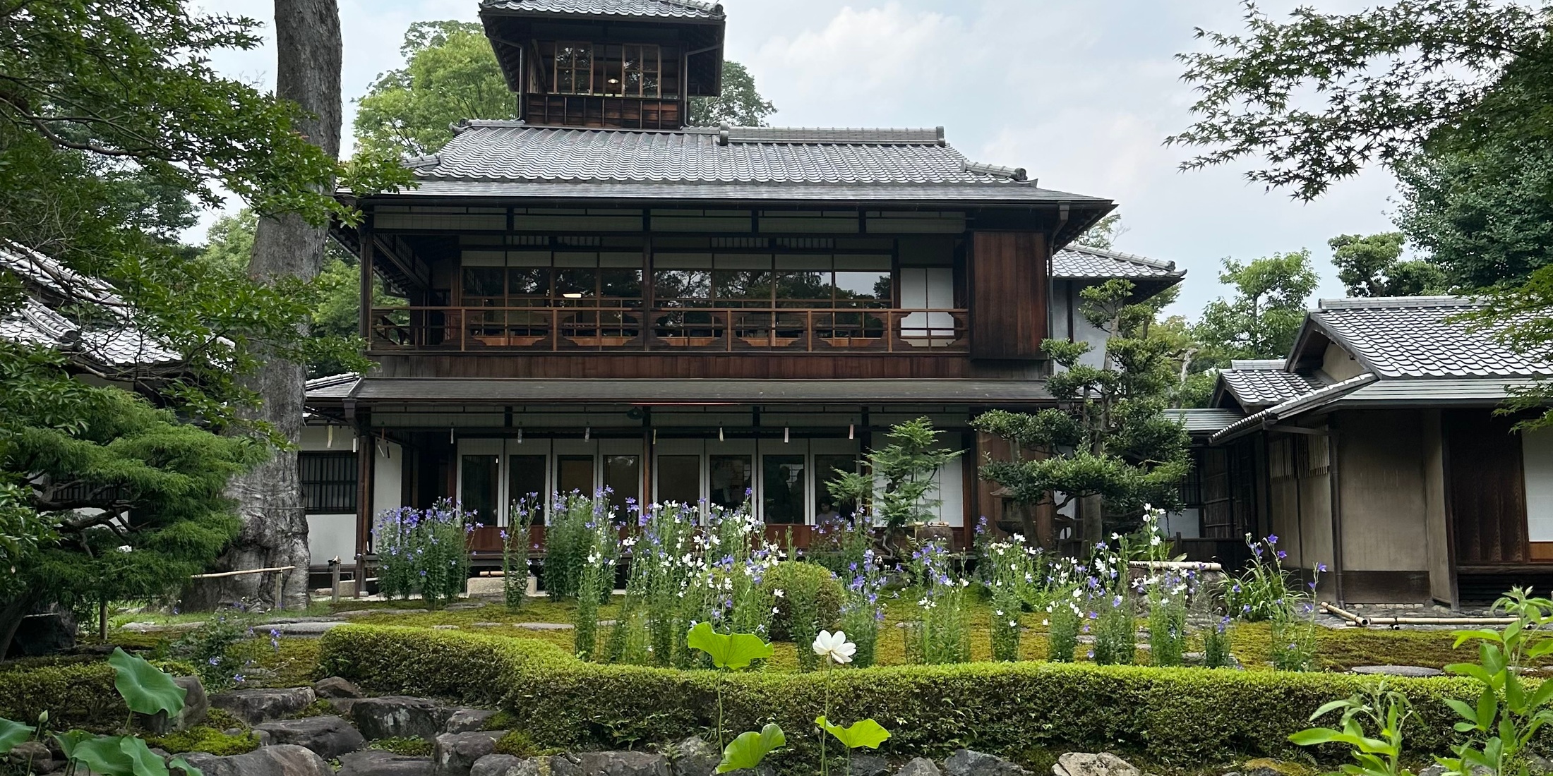 【京都出町柳駅徒歩5分】旧三井家下鴨別邸へ！涼しげな京菓子とお抹茶を味わいながら庭池に蓮が咲く下鴨の夏を満喫❤︎