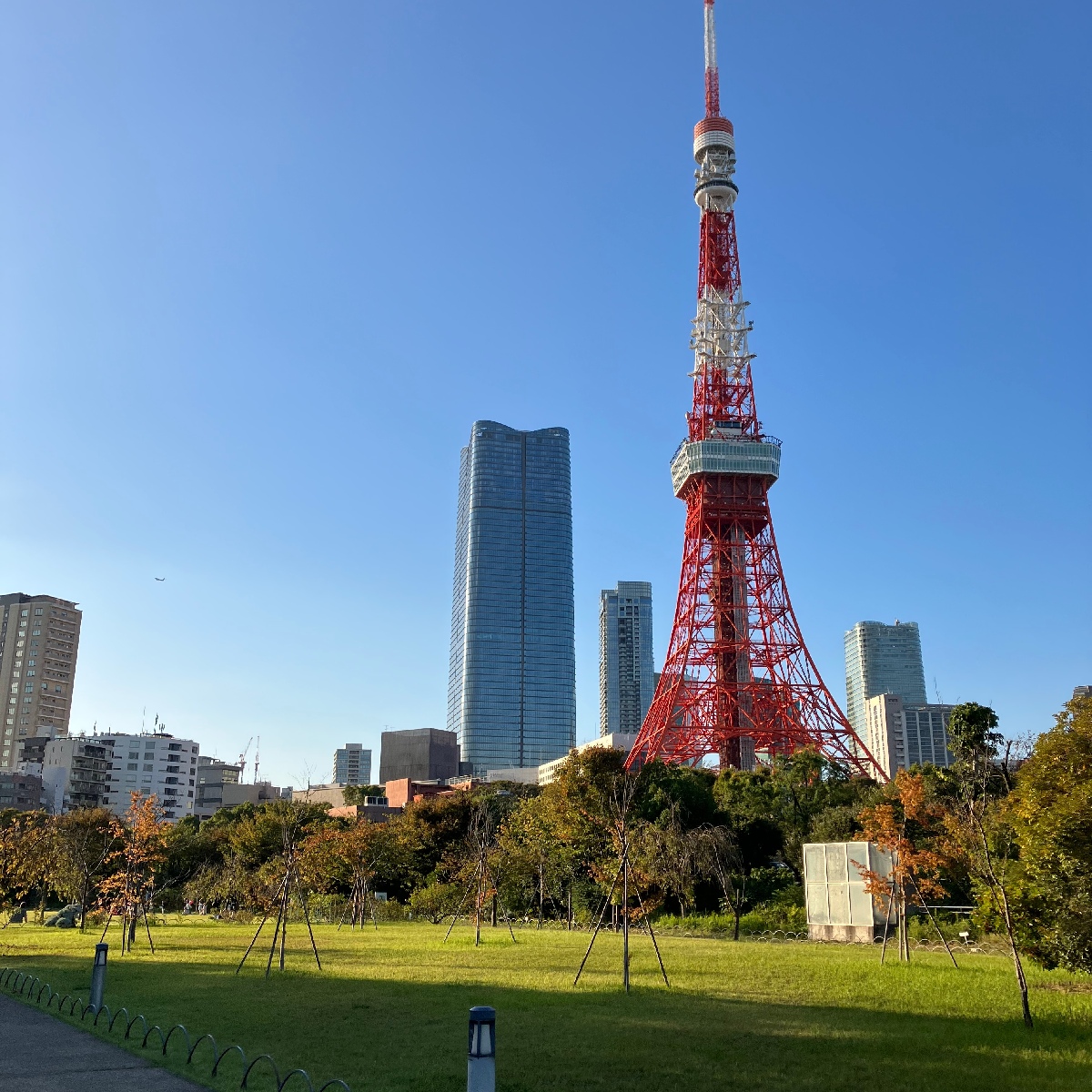 【東京タワー】やっぱり魅力的！東京のシンボルを眺めながら秋ピクニック